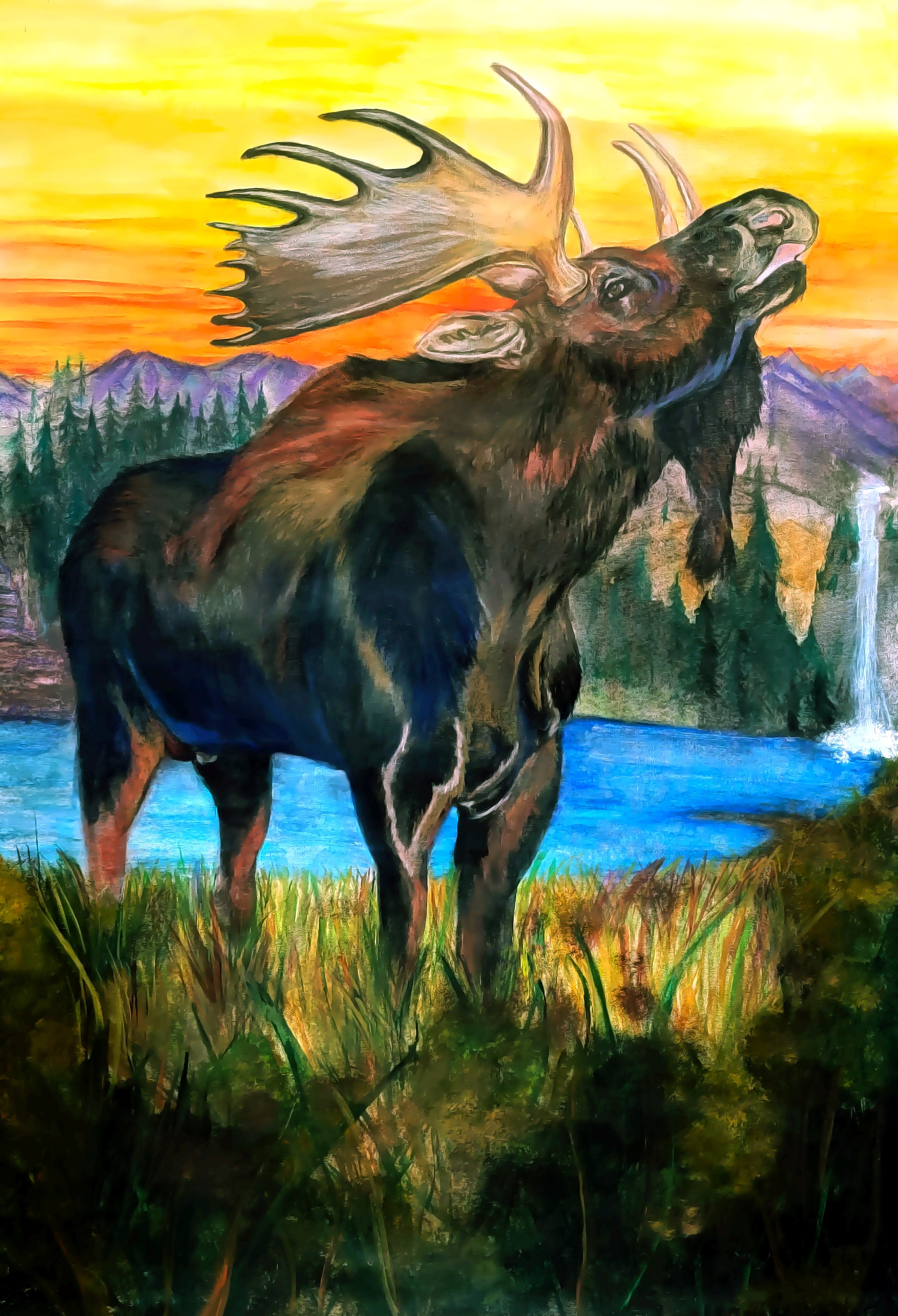 HOWLING MOOSE 24x36 Canvas Pastels and Oils – TeriMazzolaGallery